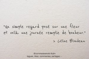 Citations De Celine Blondeau Comme Des Mots