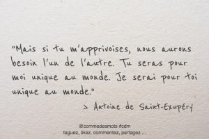 Citations De Antoine De Saint Exupery Comme Des Mots