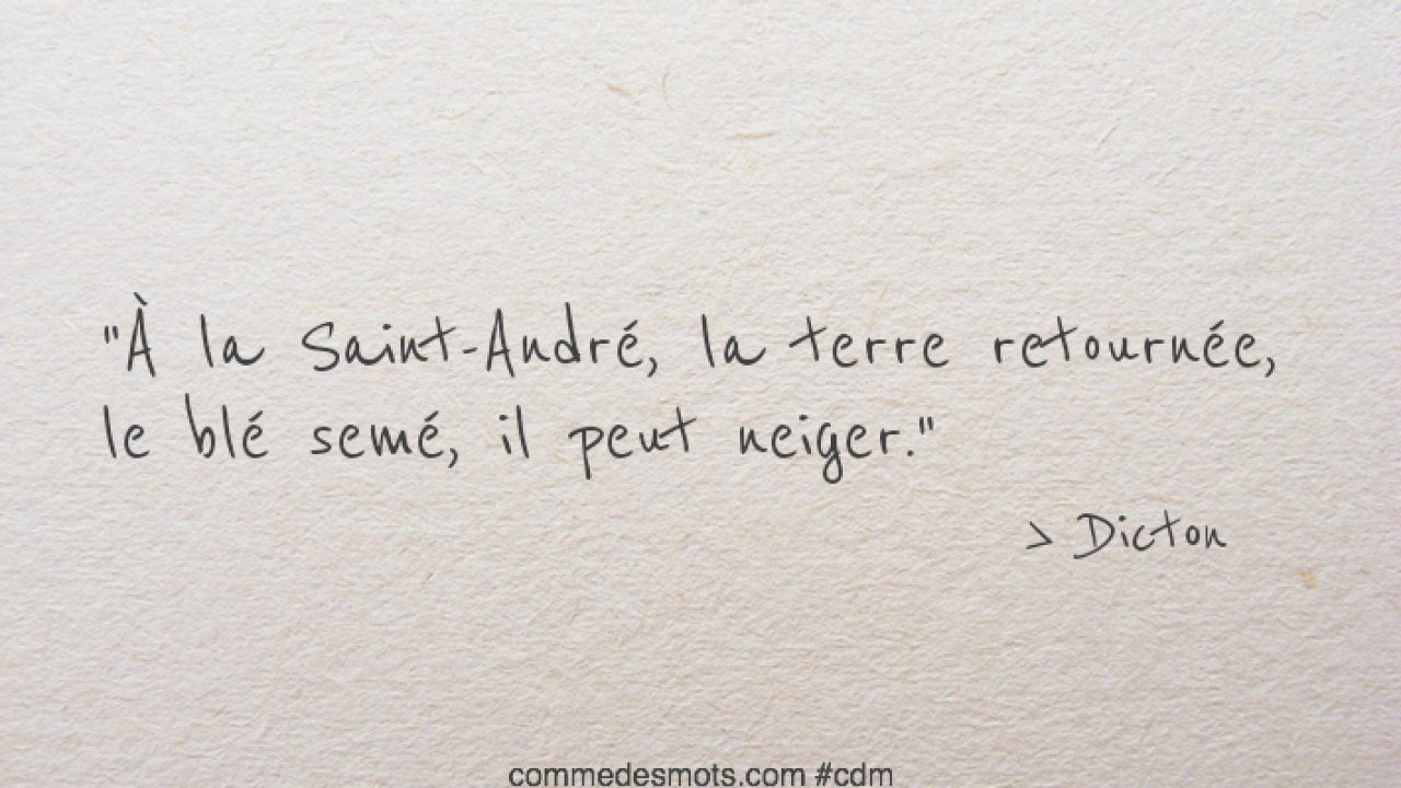 A La Saint Andre Dictons Des Mois Et Des Saints Comme Des Mots