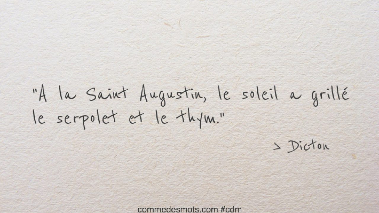 A La Saint Augustin Dictons Des Mois Et Des Saints Comme Des Mots