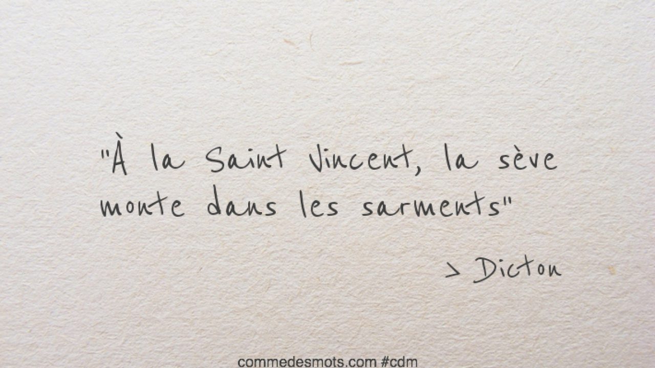 À la Saint-Vincent - Dictons des mois et des saints - Comme Des Mots