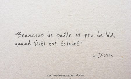 Comme Des Mots Recueil De Citations Proverbes Dictons Pensees Positives